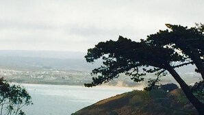 Vista costeira com praia, árvores e uma casa ao primeiro plano.