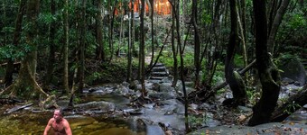 黛恩樹瀑布酒店