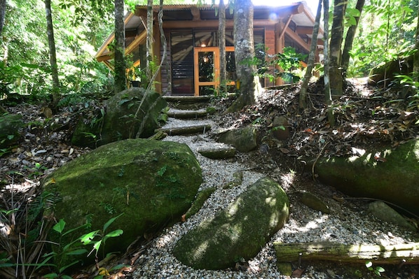 A wooden cabin with a stone staircase leading to a door, surrounded by a forested area with large moss-covered rocks. - Daintree Cascades (Diwan)