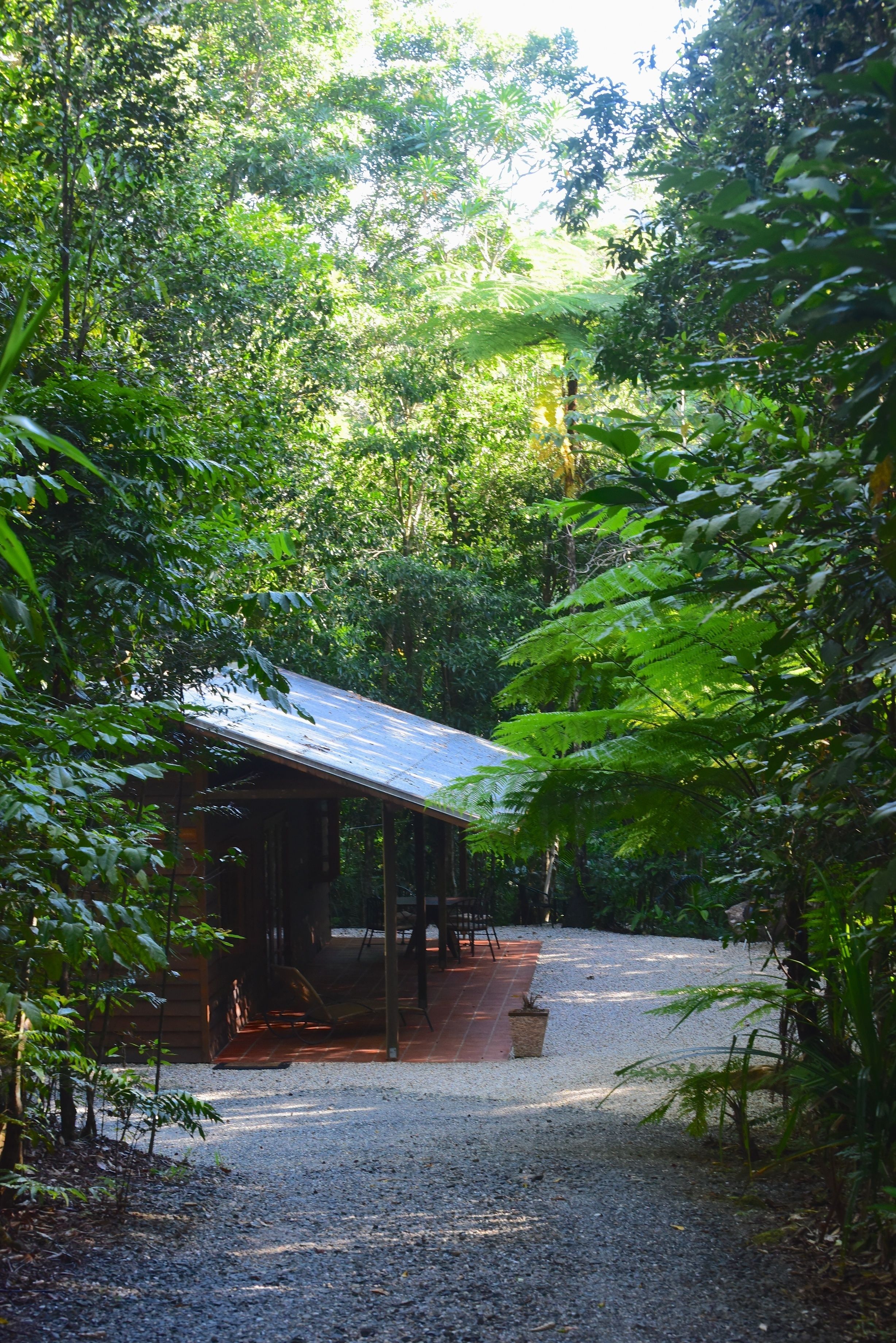 A rustic wooden cabin with a gravel path leading to it, surrounded by dense foliage.