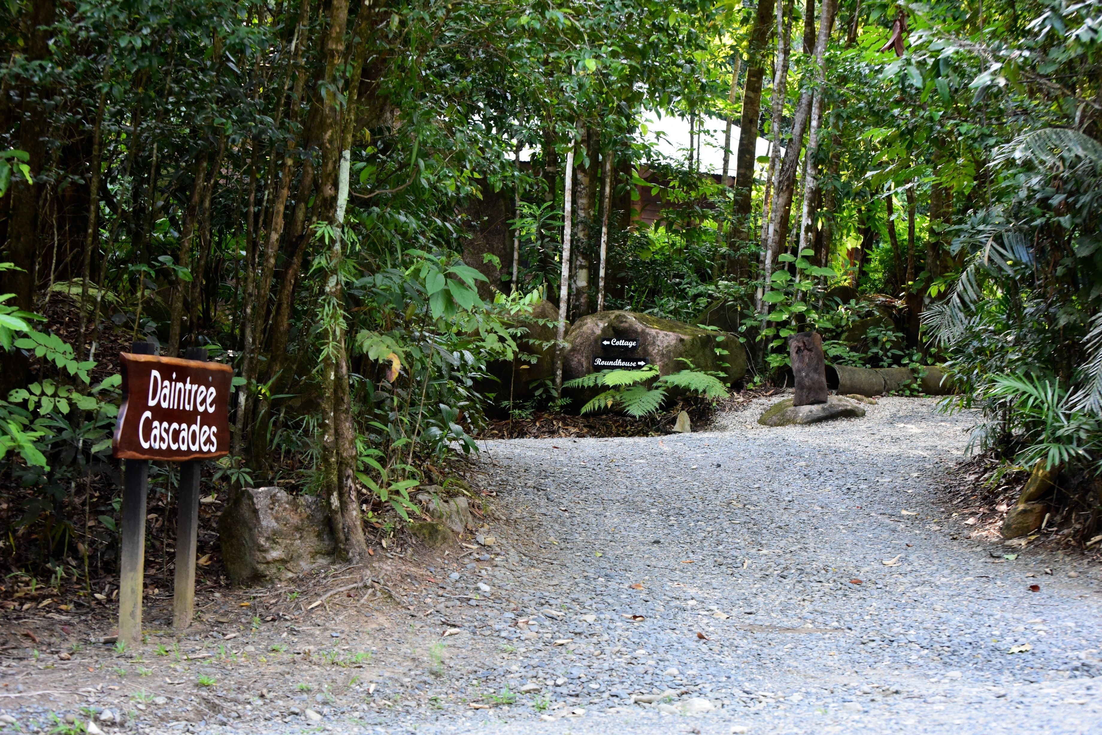 A gravel path leading to a sign labeled "Daintree Cascades."