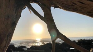 A rocky beach with a large tree trunk in the foreground and the sun setting in the background. - Najie (Donghe)