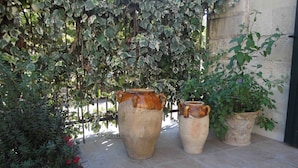 Un patio con macetas grandes de terracota y una pared verde exuberante cubierta de hiedra.