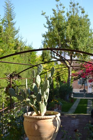Property grounds - Le Signorine B&B Lecce (Lecce)