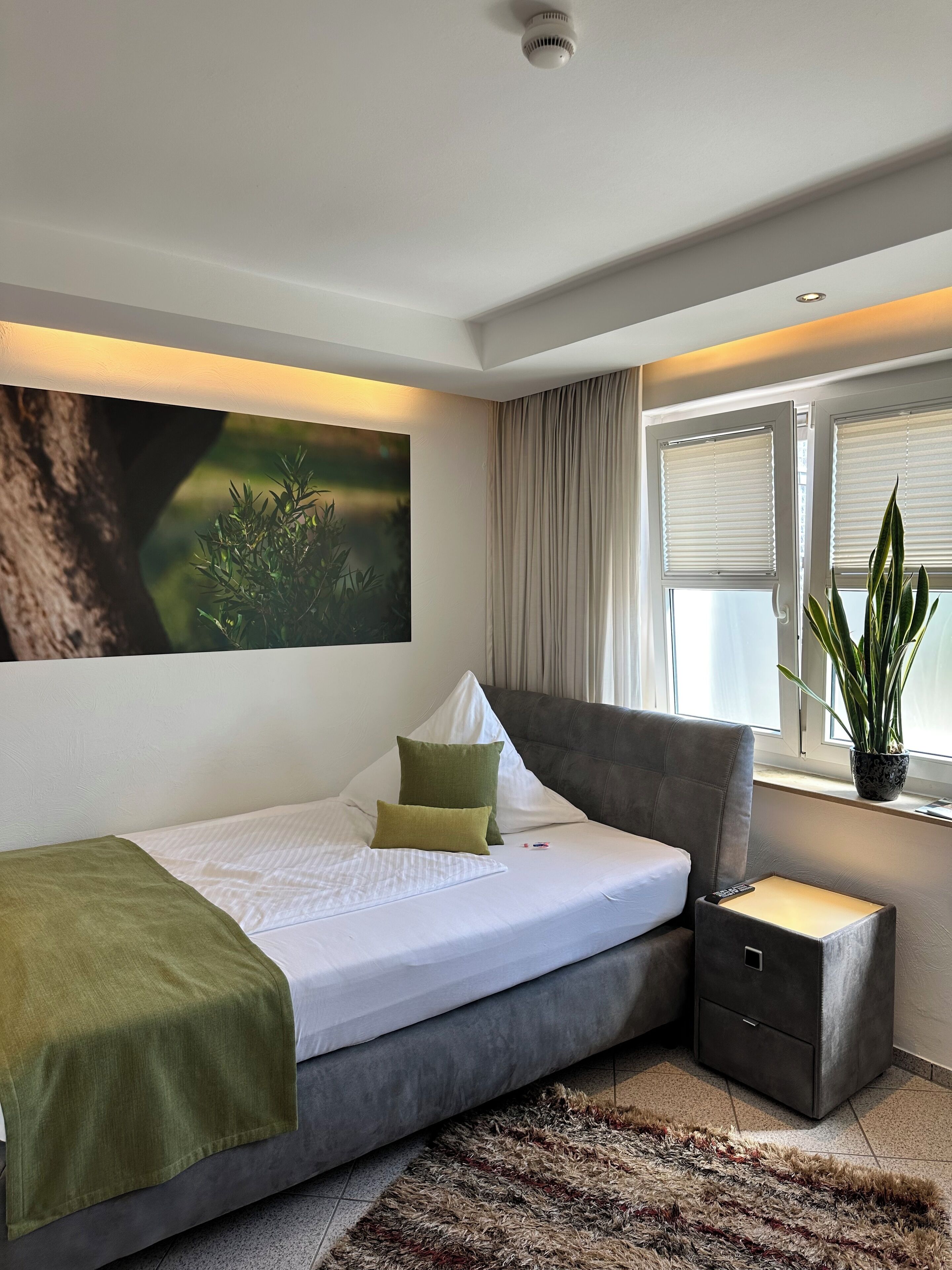 Ein modernes Schlafzimmer mit Bett, Nachttischen, einer Lampe und einem Topf mit Pflanze.