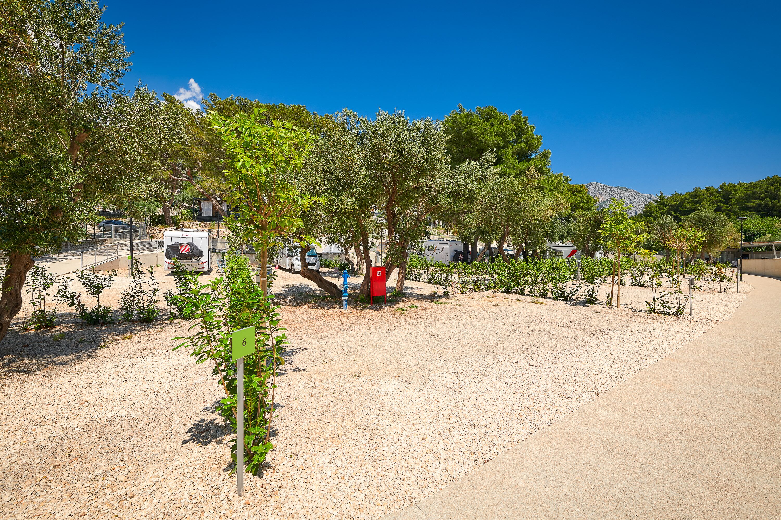 A campground with RVs, trees, and a clear blue sky.