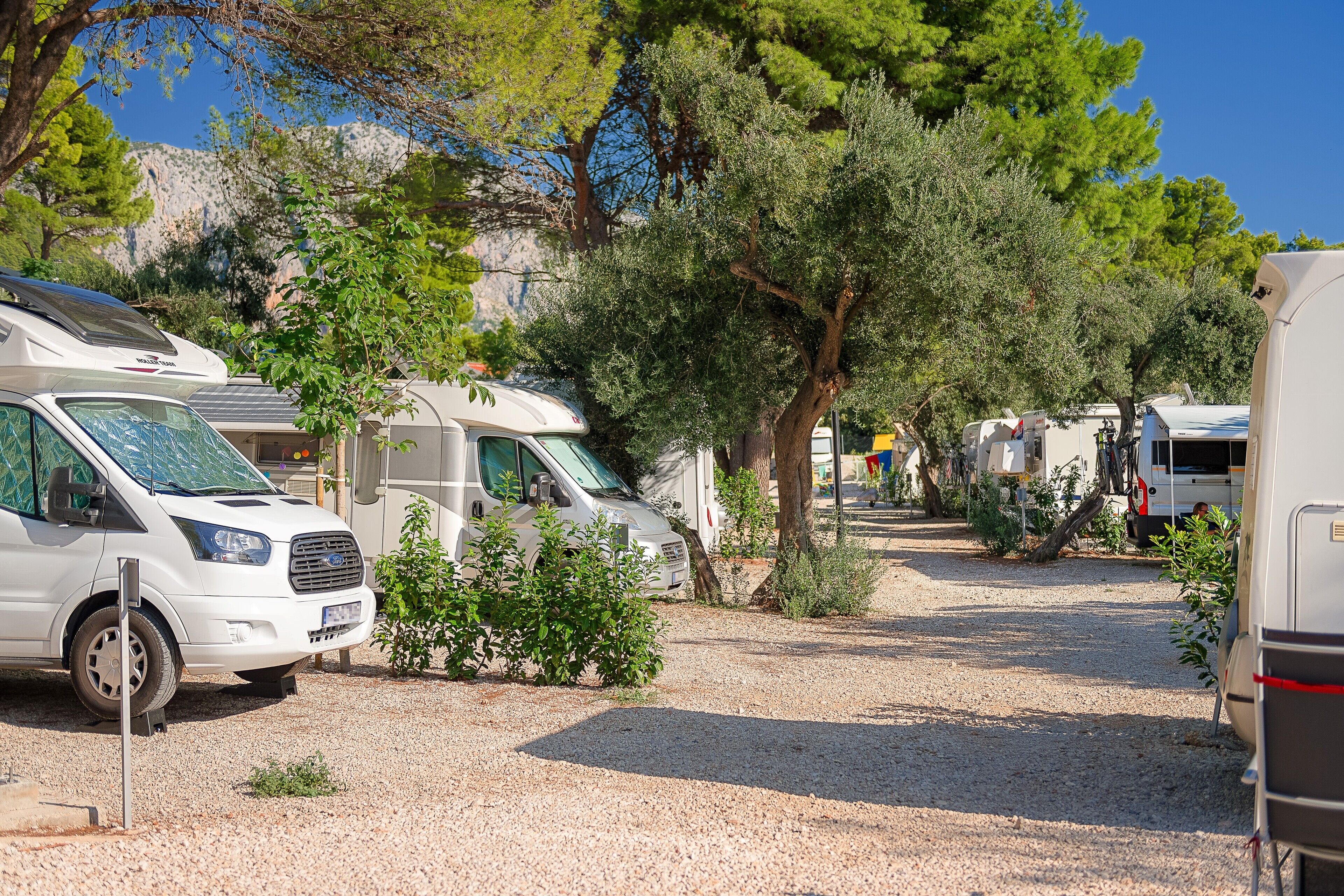A campsite with RVs parked on gravel, surrounded by trees and a mountainous backdrop.