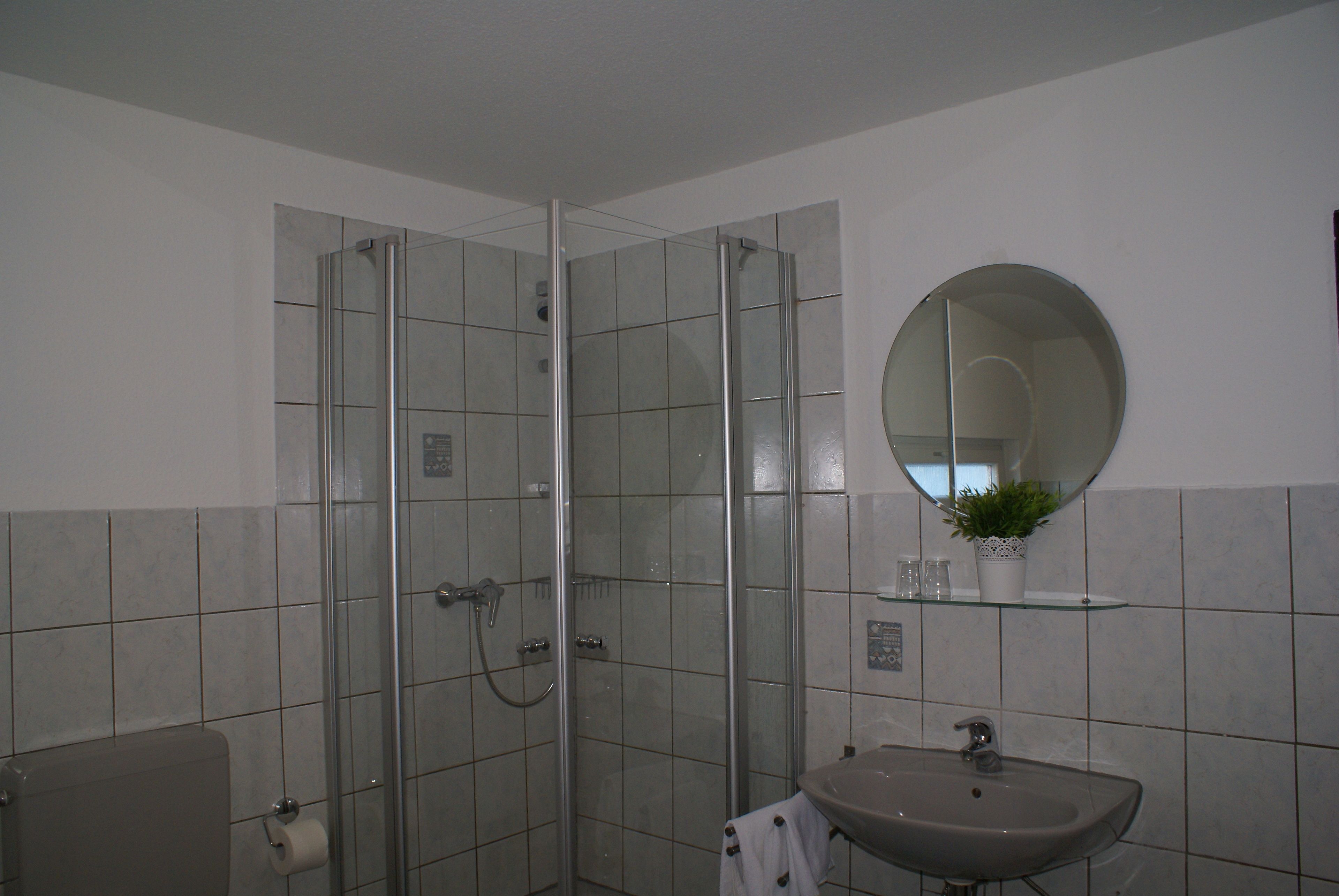 A bathroom with a glass-enclosed shower, a sink, and a mirror.
