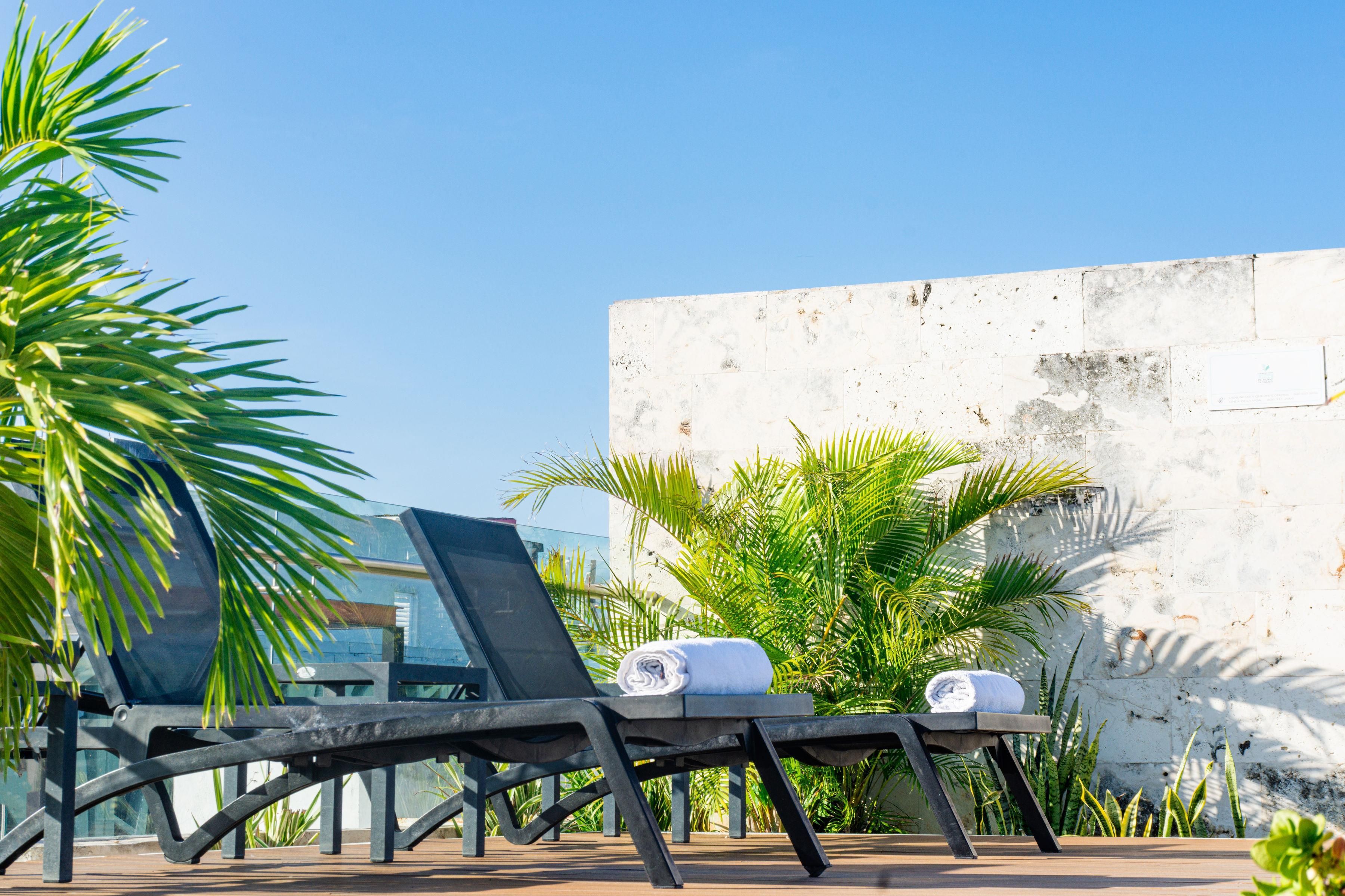 Un área de terraza con sillones y una mesa, rodeada de palmeras y un muro blanco.