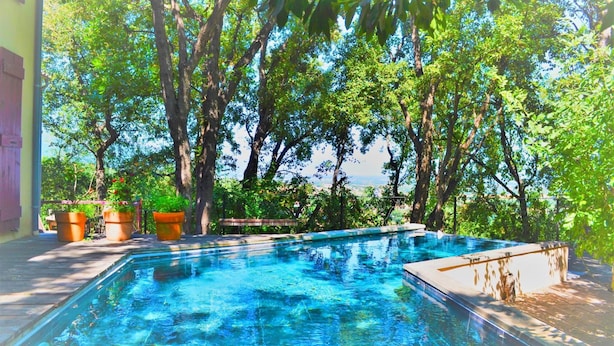 Una piscina rectangular rodeada de árboles y plantas en macetas, con un cielo azul despejado al fondo.