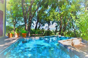 Uma piscina retangular cercada por árvores e plantas em vasos, com um céu azul claro ao fundo.