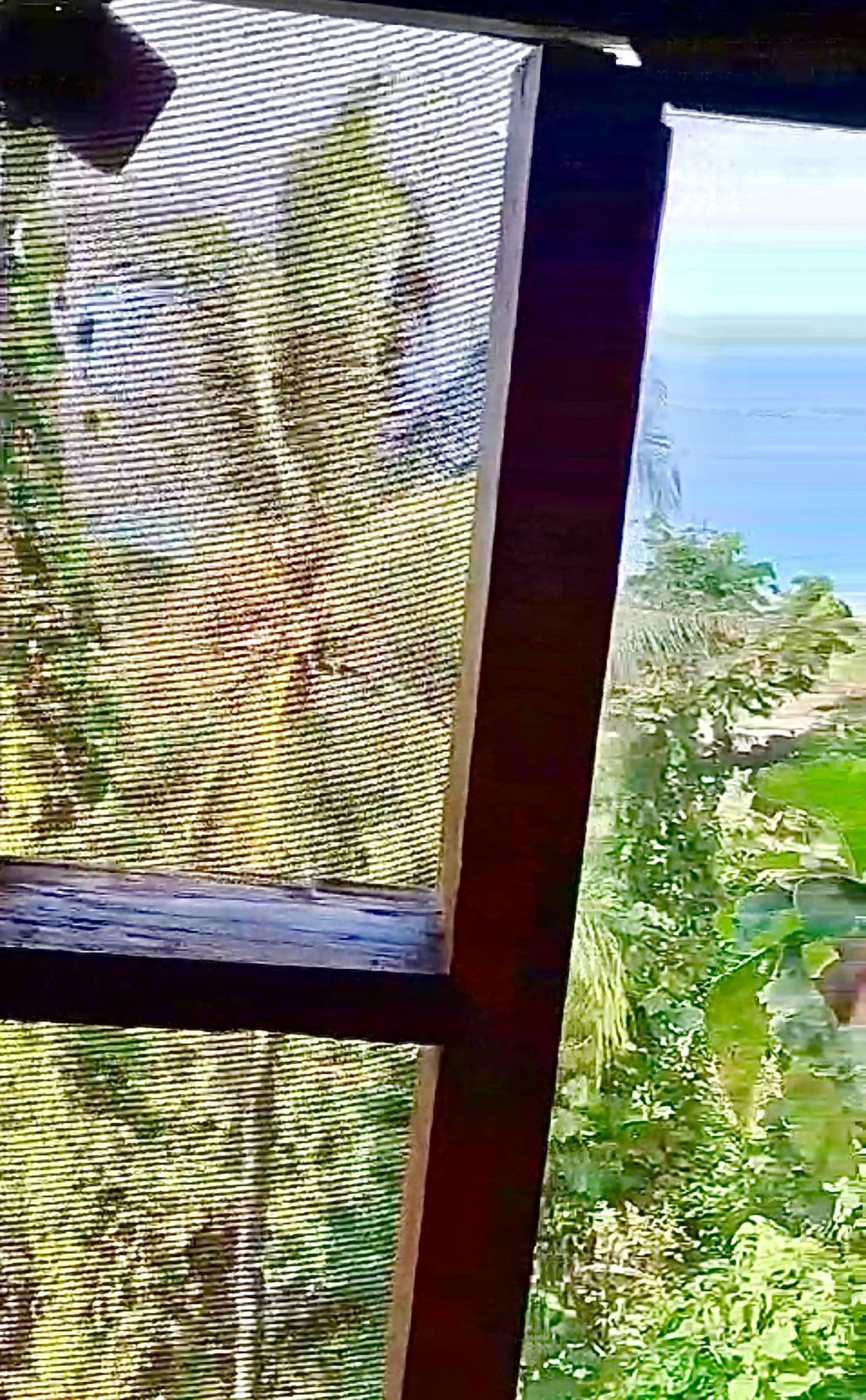 Janela com mosquiteiro, pela qual se vê vegetação e um corpo d'água.