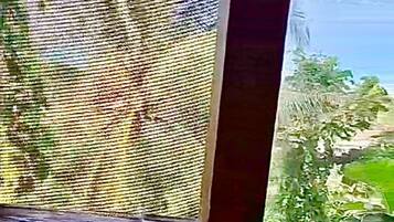 Janela com mosquiteiro, pela qual se vê vegetação e um corpo d'água.