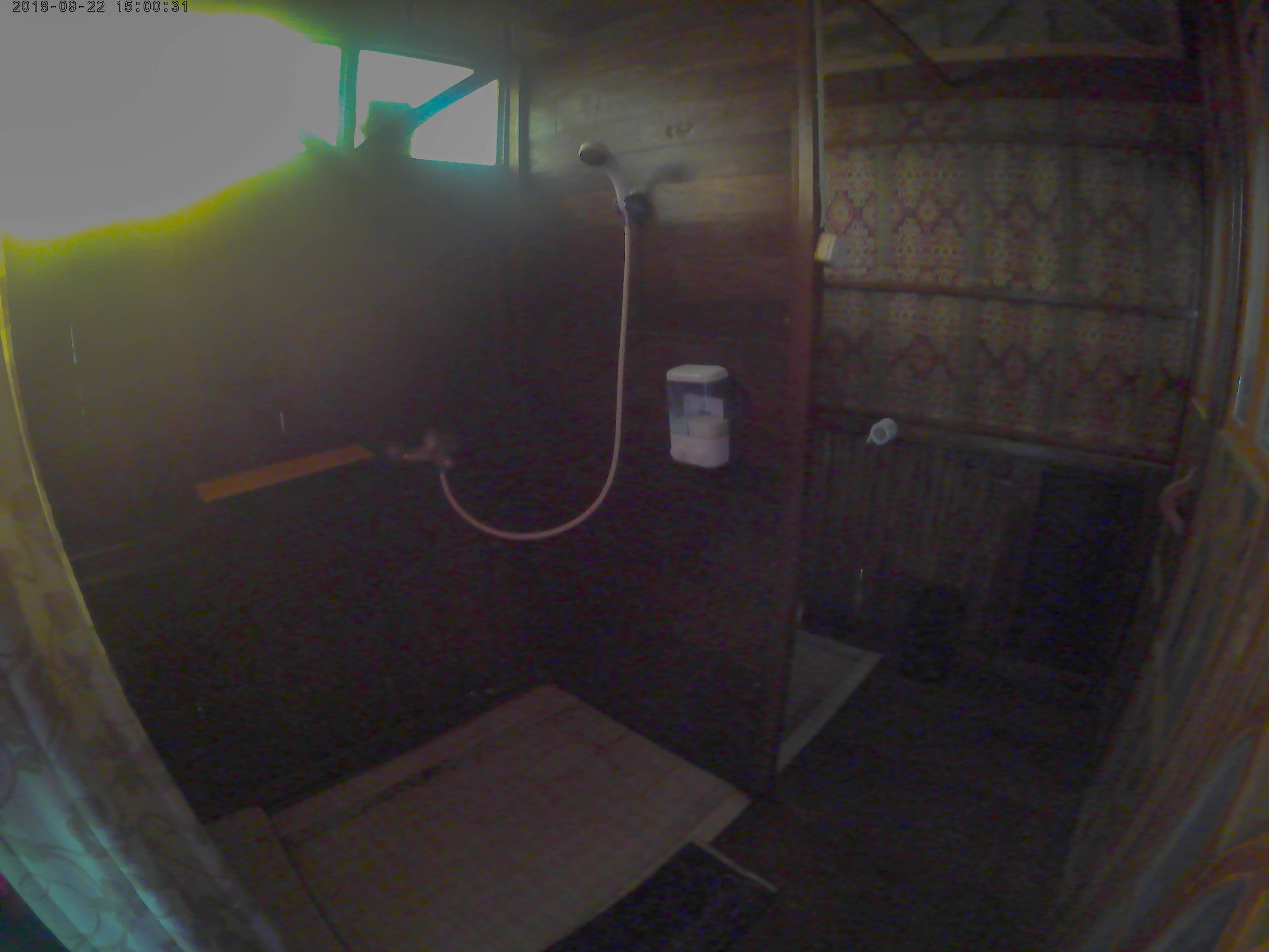 A small, dimly lit bathroom with a shower, a toilet, and a patterned curtain.