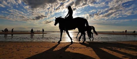Horse riding