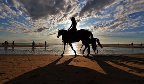 Horseback riding - Hotel La Rosa Amsterdam Beach (Zandvoort)