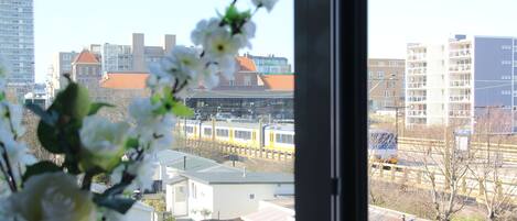 Uitzicht op een woongebied met een passerende trein, gebouwen met verschillende dakstijlen en een heldere lucht.