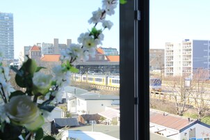 华丽三人房, 1 张大床 | 城市景观