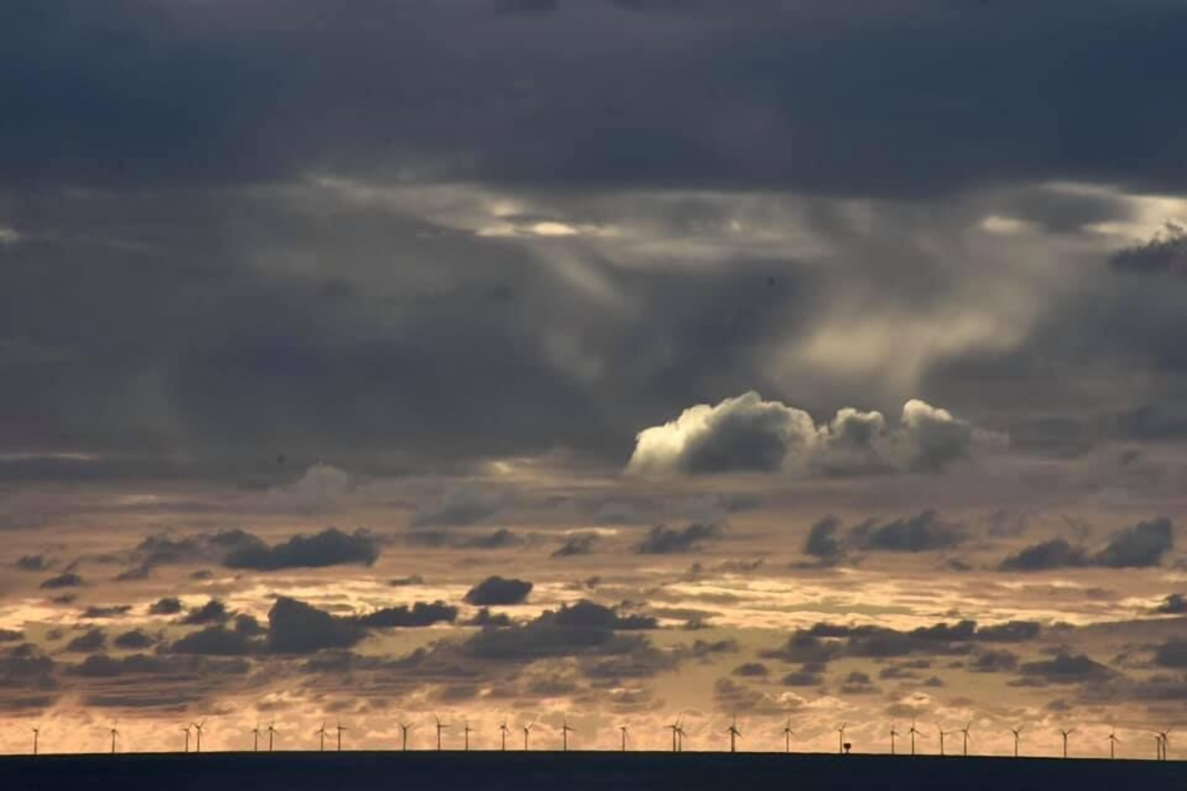 on the beach, sun-loungers, beach umbrellas, windsurfing