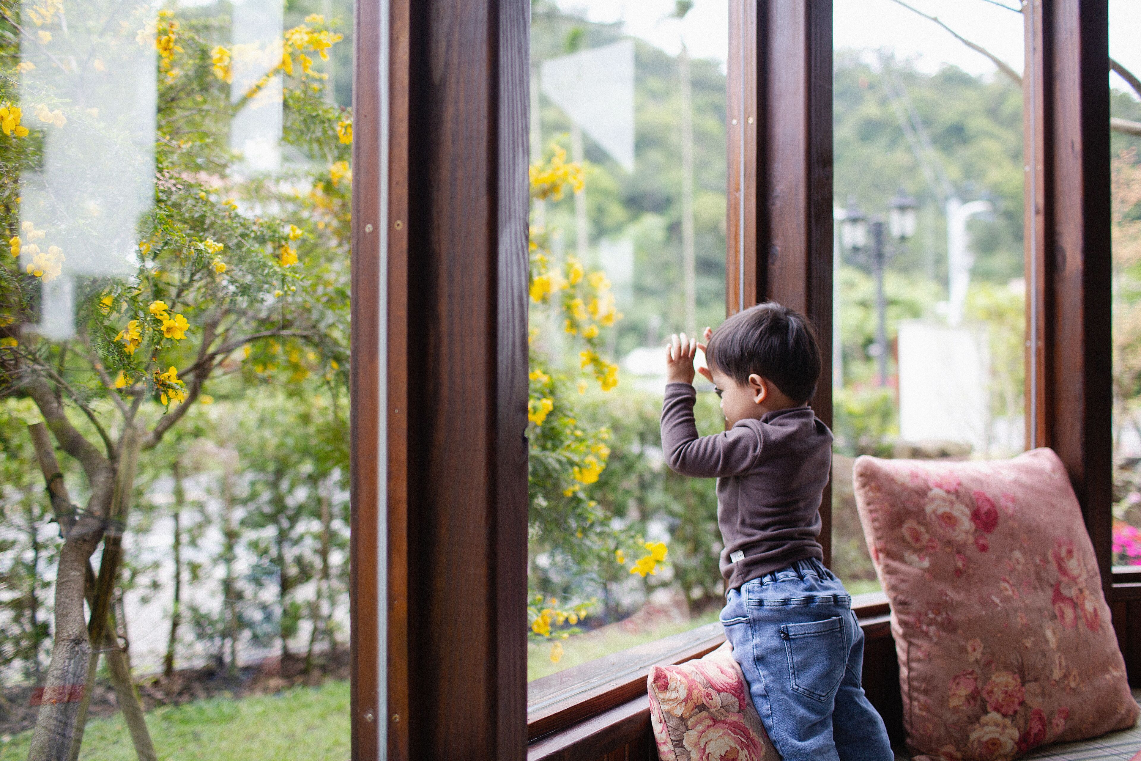 A child looking out of a window with a view of trees and a pink floral cushion.