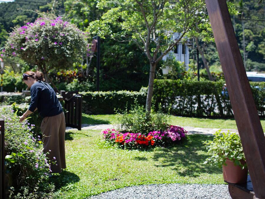 A garden with a variety of plants and flowers, a wooden bench, and a person tending to the plants.
