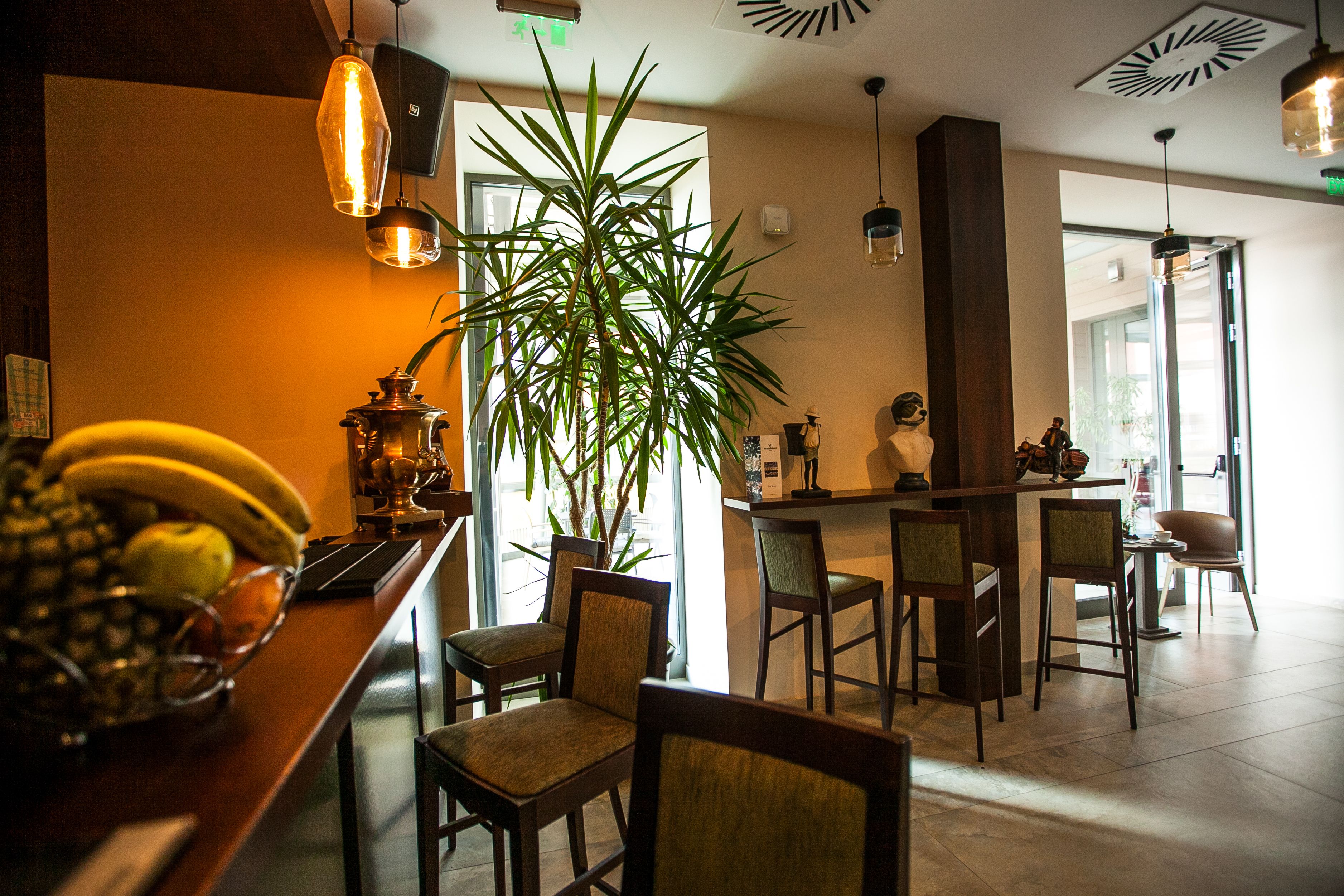 Un área de bar con sillas de madera, una planta grande en maceta y un frutero.