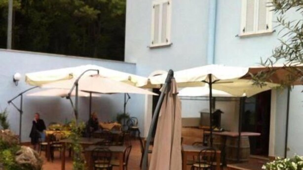 Un patio al aire libre con mesas y sillas, cubierto por sombrillas y rodeado de plantas en macetas y un pequeño jardín.
