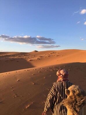 Beach - Khamlia Desert Bed & Breakfast (Taouz)