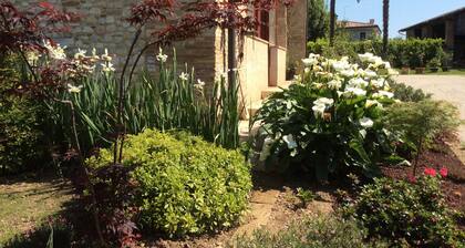 B&B Asolo Casa Pagnano