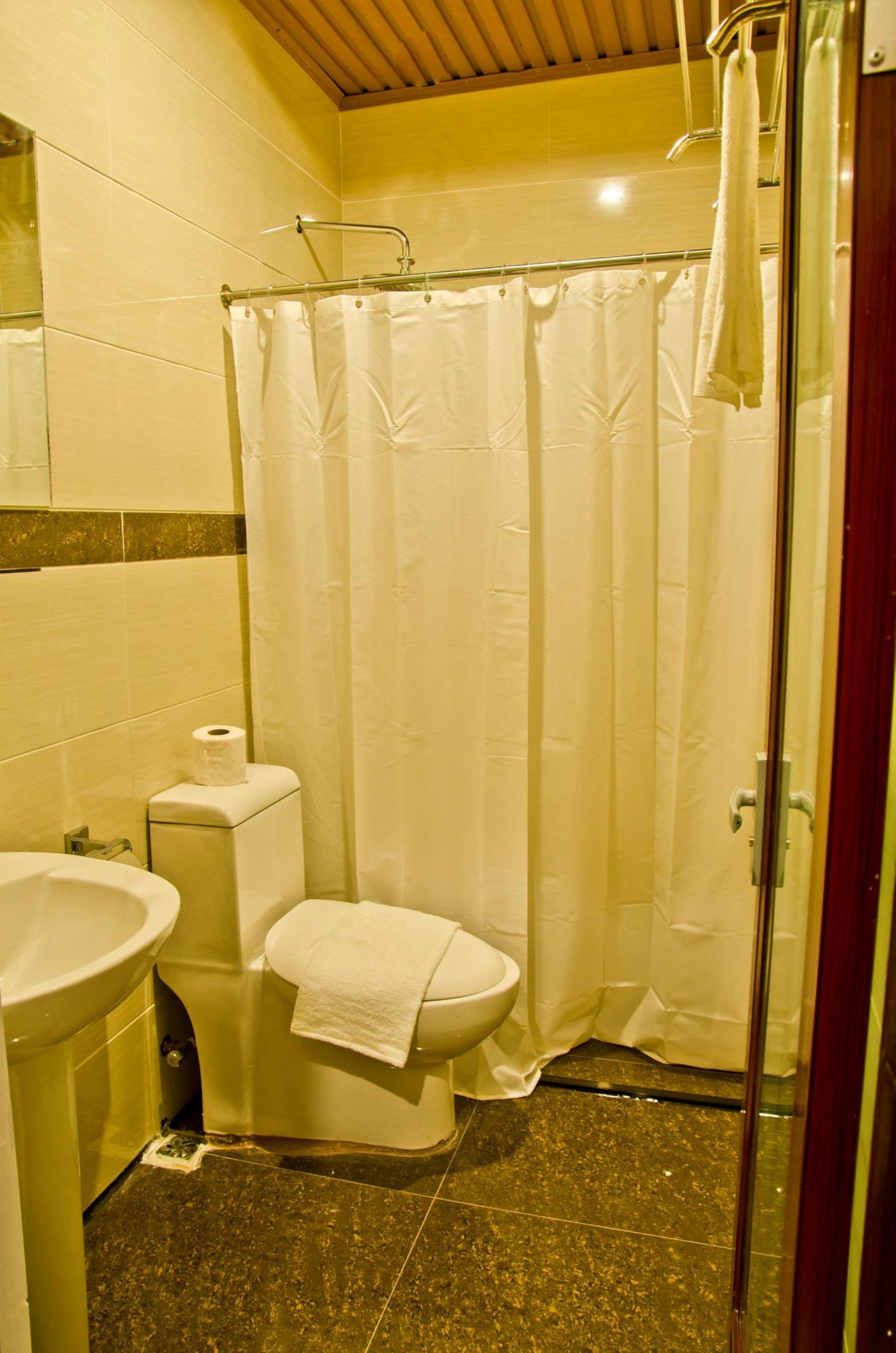 shower, free toiletries, hair dryer, bidet