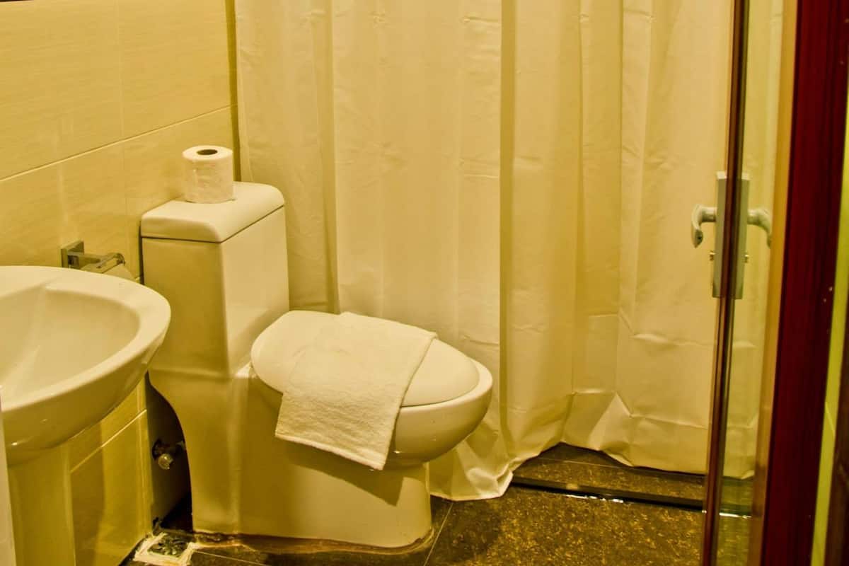 shower, free toiletries, hair dryer, bidet