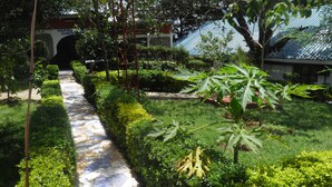 A stone pathway leading through a well-maintained garden with neatly trimmed hedges and a variety of plants. - Imani Radio & TV Ministries (Kitale)