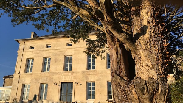 A large, historic building with a symmetrical facade, multiple windows, and a prominent tree in the foreground.