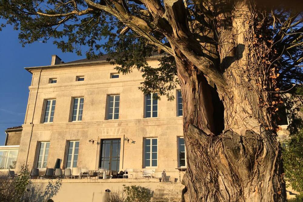 Le Dojo du Plessis