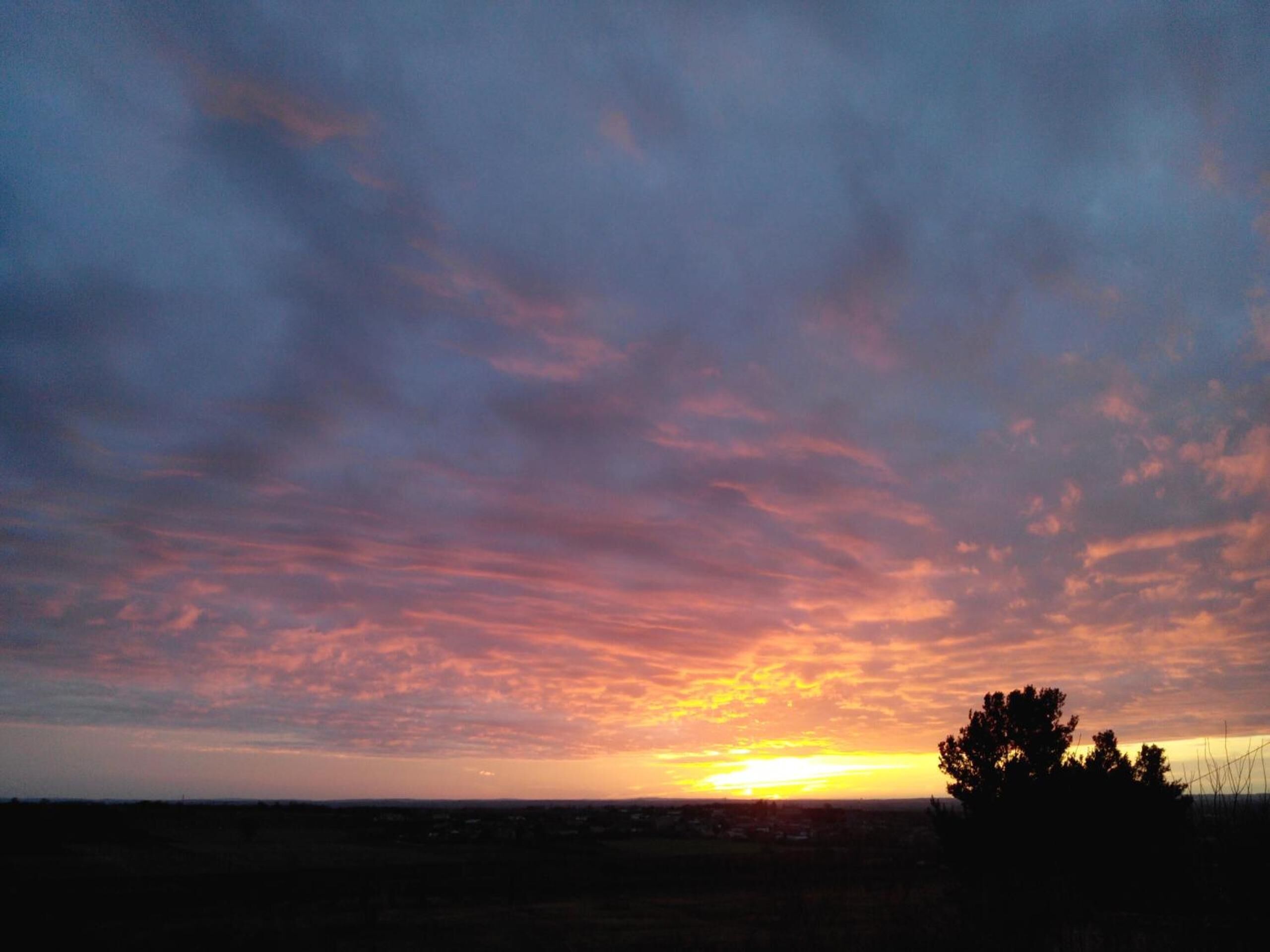 Un coucher de soleil sur un paysage plat, avec la silhouette d’arbres et un horizon lointain.