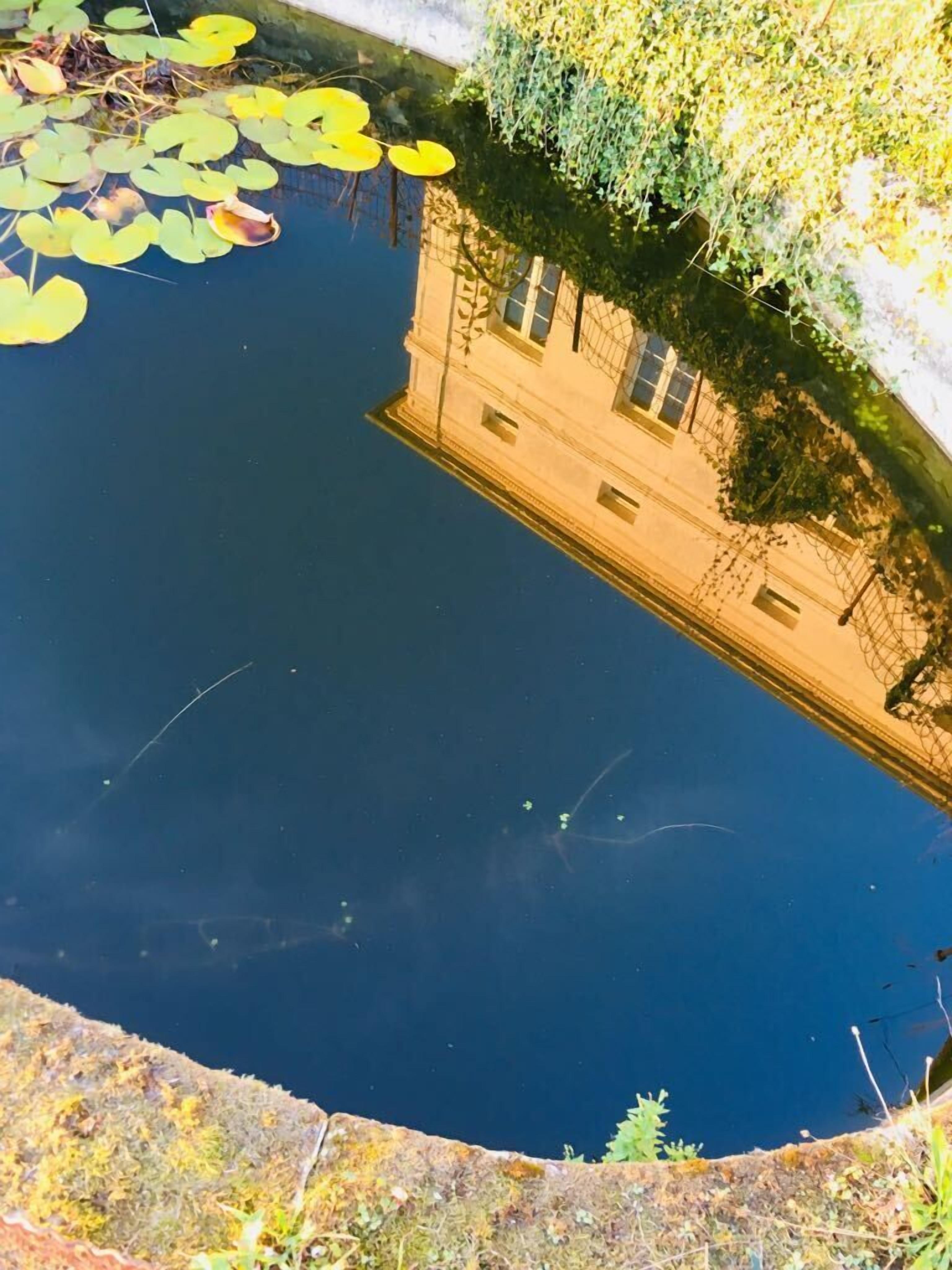 Un étang parsemé de nénuphars et un bâtiment qui se reflète dans l’eau.