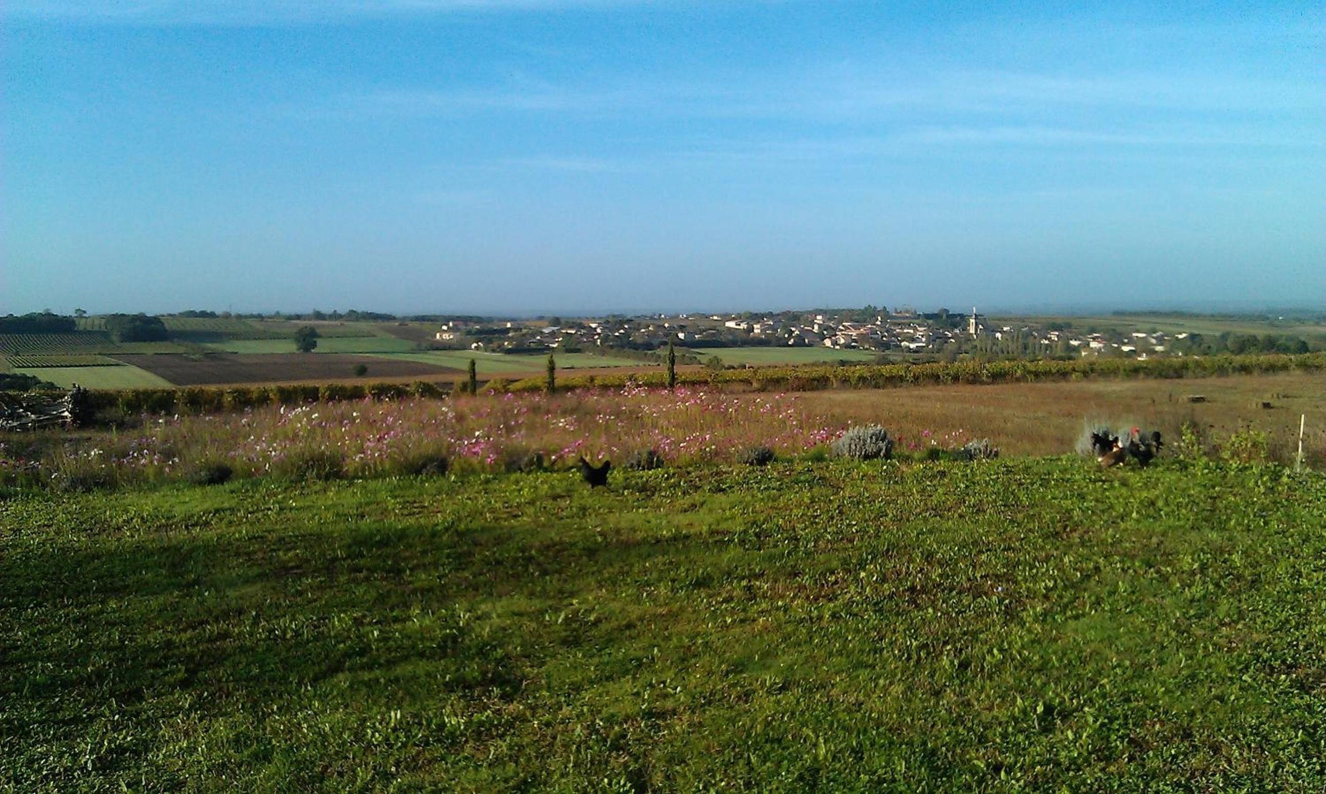 A rural landscape with fields, a small village in the distance, and a clear sky.