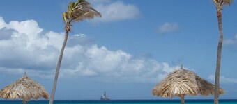 Jardines del Mar
