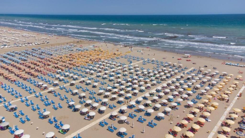 Una playa con filas de tumbonas y sombrillas.