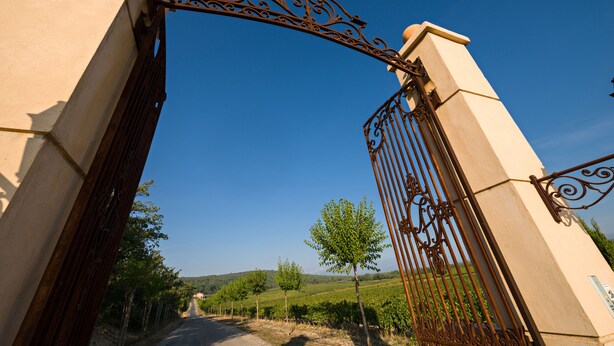 Una reja de hierro forjado que da acceso a un camino entre viñedos.