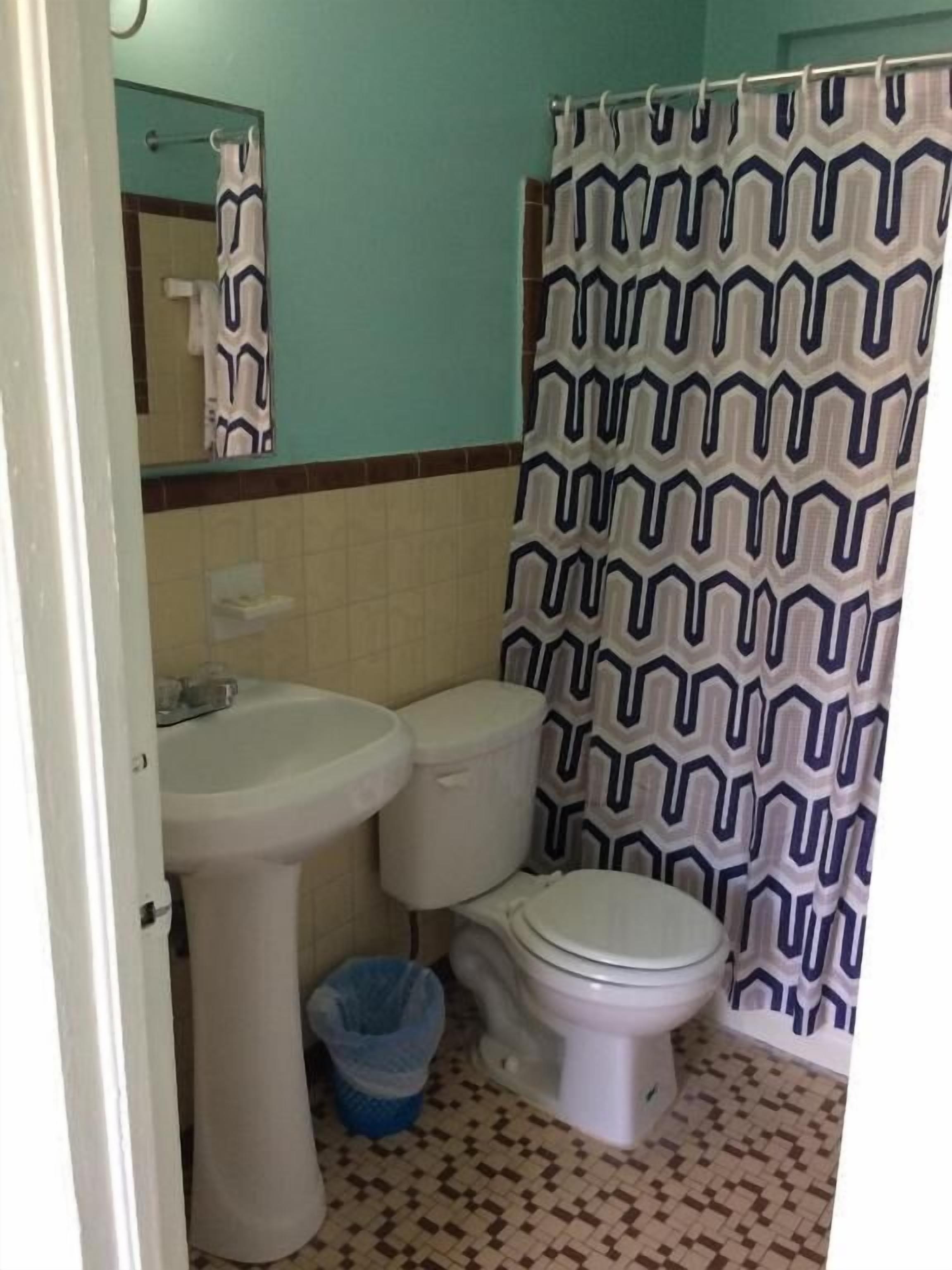 Un baño con cortina de ducha estampada, un lavabo y dos inodoros.