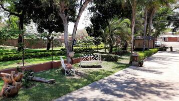 حديقة