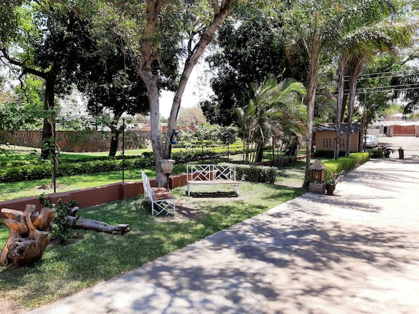 Garden