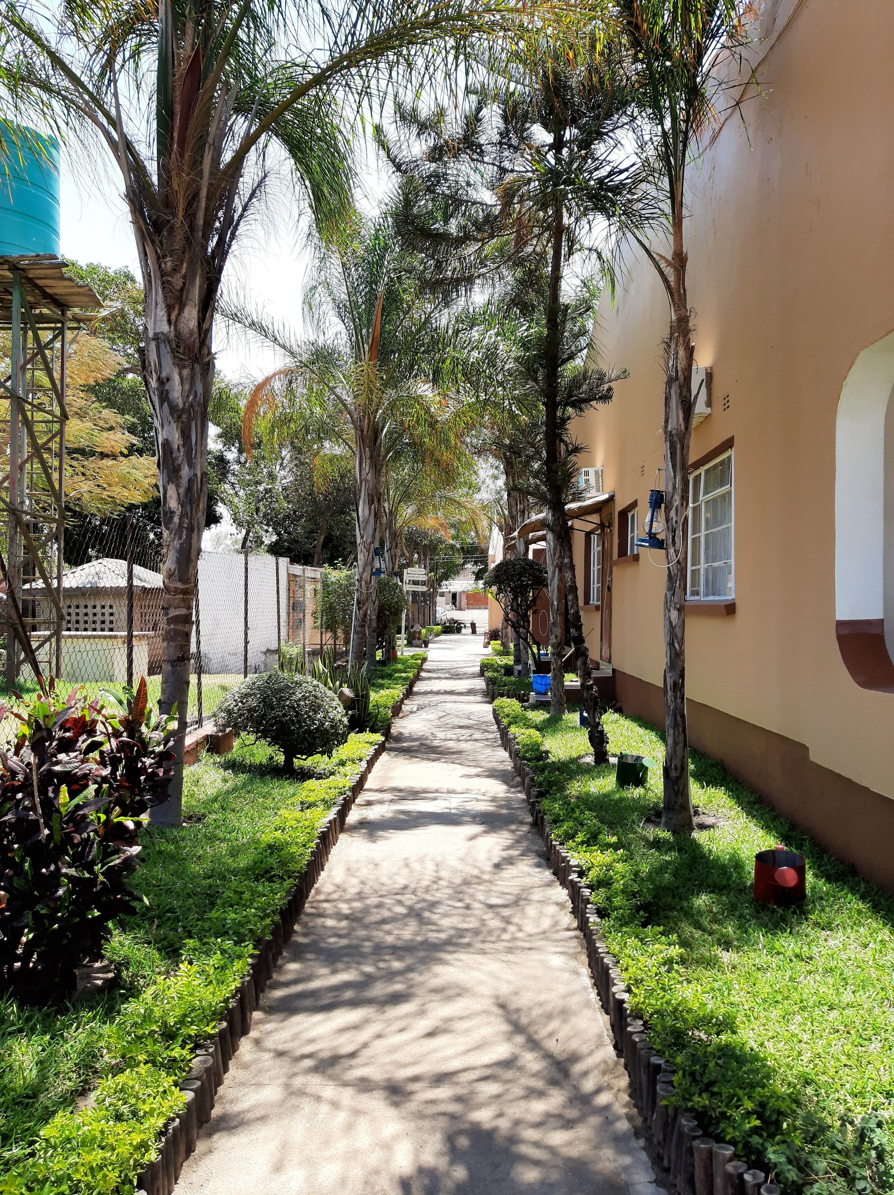 A pathway lined with trees and greenery, leading to a building with a beige exterior.