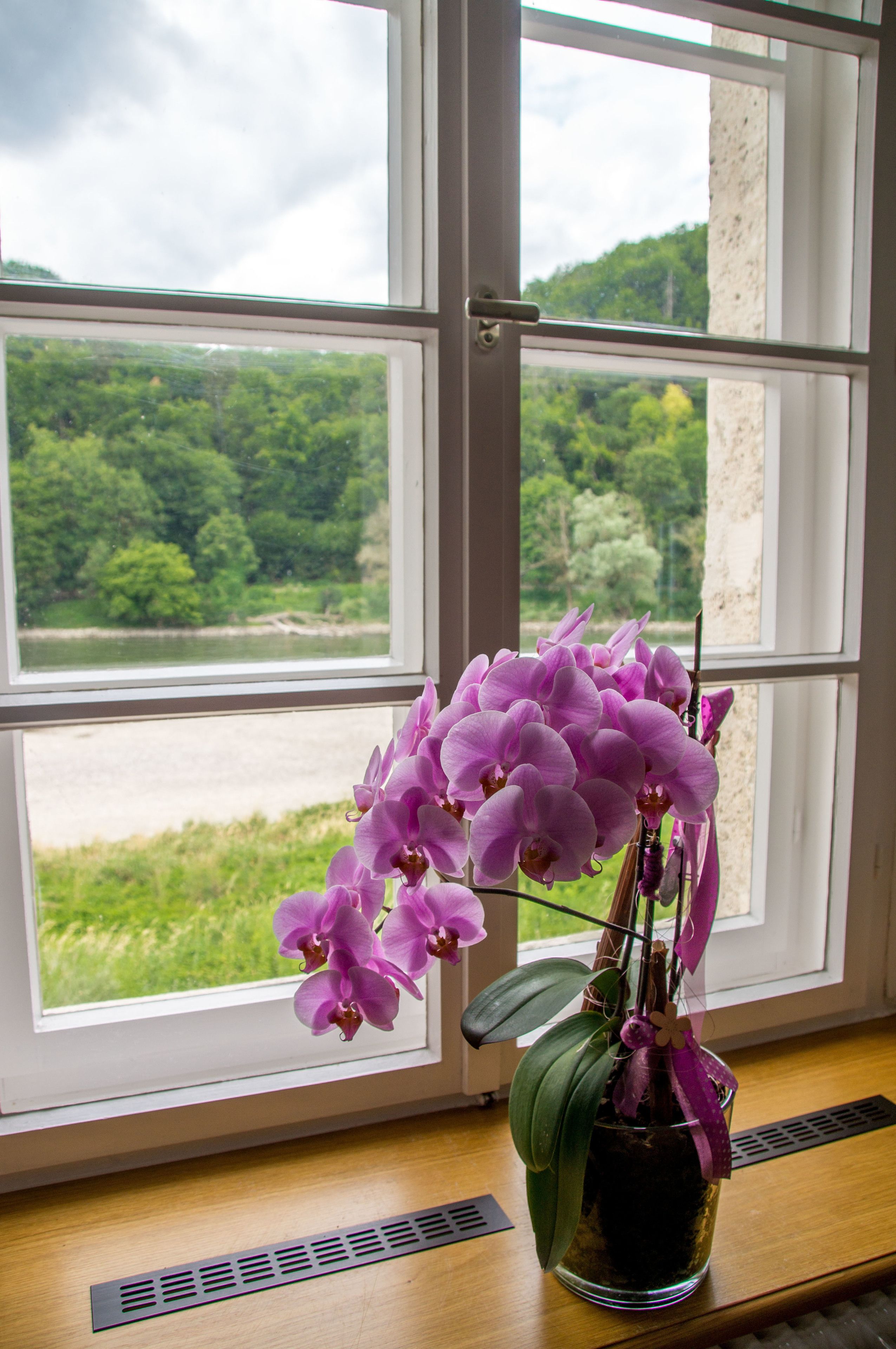 A window with a view of a river and greenery, a vase with purple flowers on a wooden surface.