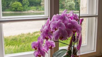 A window with a view of a river and greenery, a vase with purple flowers on a wooden surface.