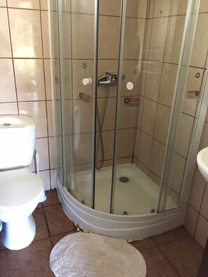 Eine gläserne Duschkabine, links daneben eine weiße Toilette und ein Waschbecken.
