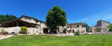 Un edificio de piedra con un gran árbol en primer plano, un césped verde y un cielo azul despejado.