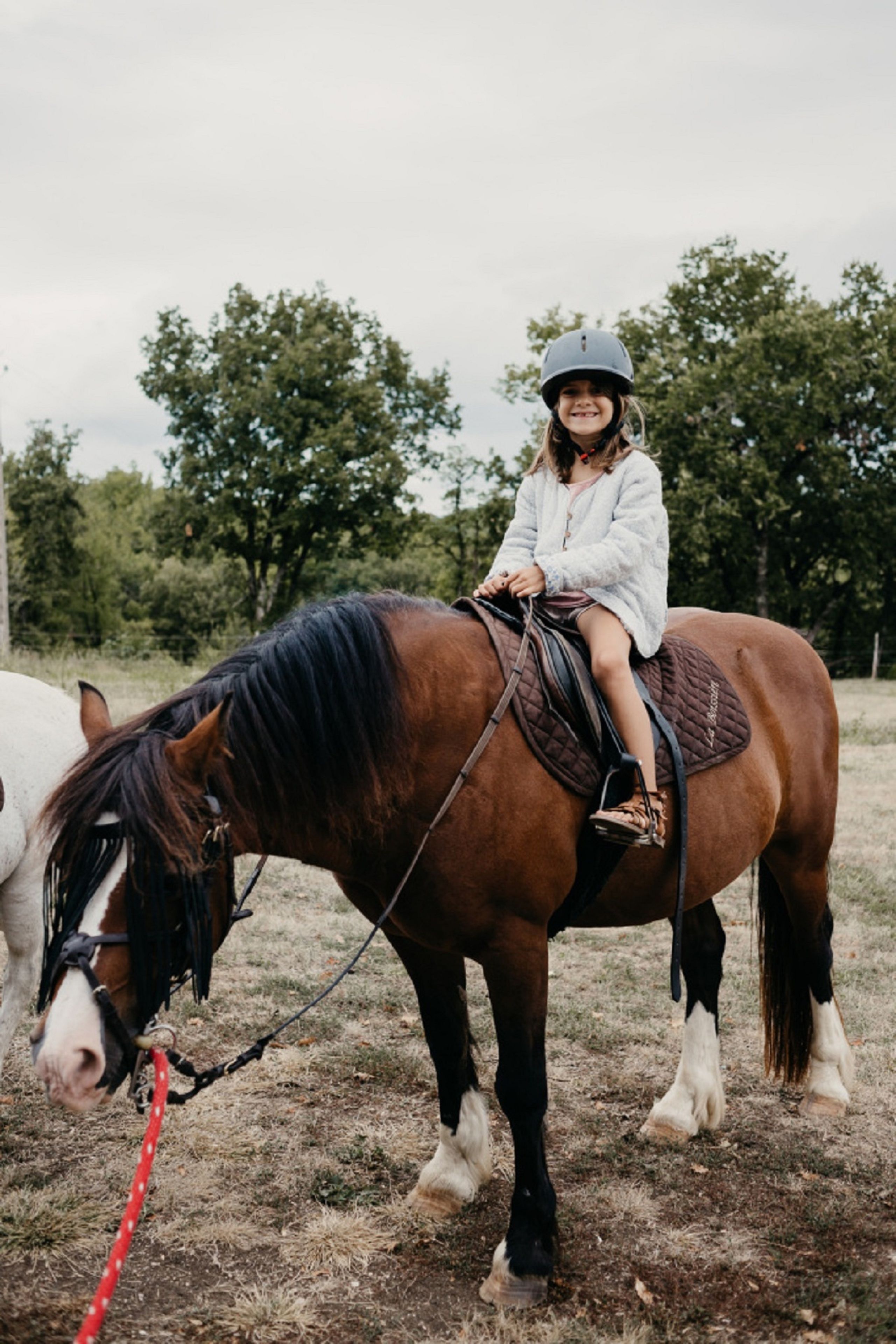 A person riding a horse in an outdoor setting with trees in the background.