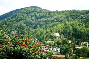 View from property - Villa Nine Kandy (Kandy)
